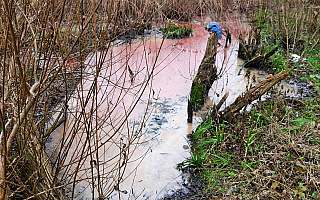 Zanieczyszczenie rzeki Iławki. Są trudności w znalezieniu winnego